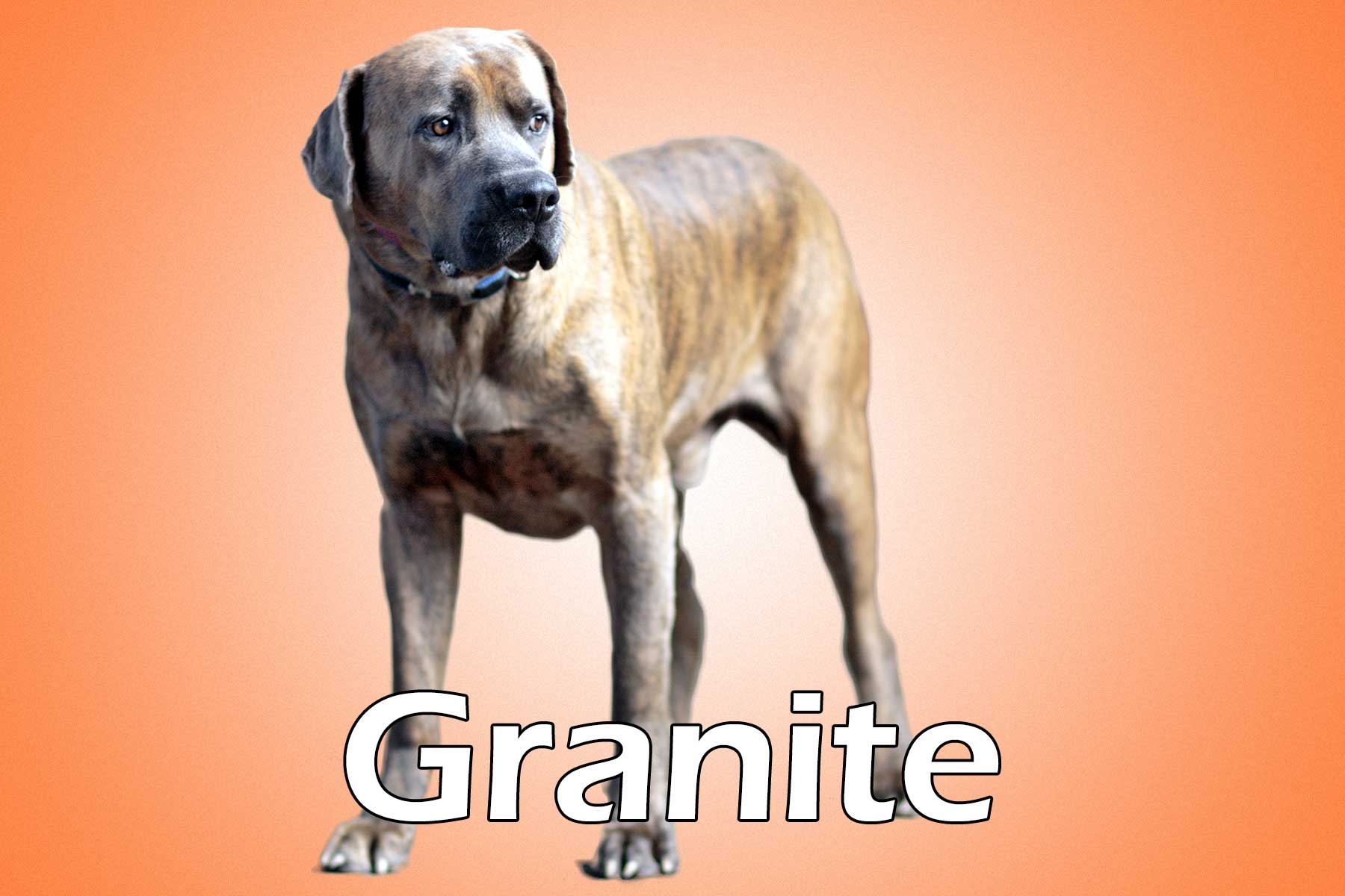 Granite_20130916_093928_052011001770_29038b4_Granite