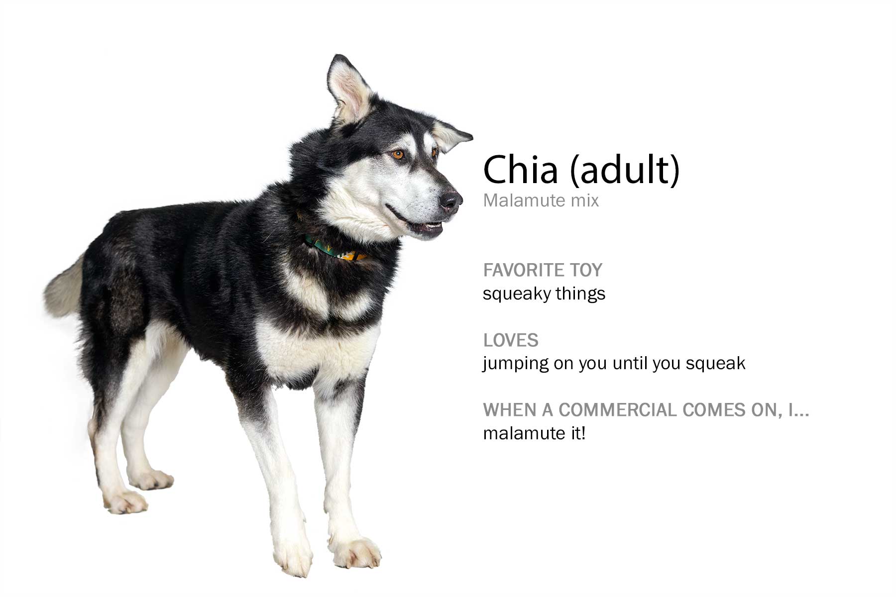 20180501_111211_EJ031352_046616x1_Chia