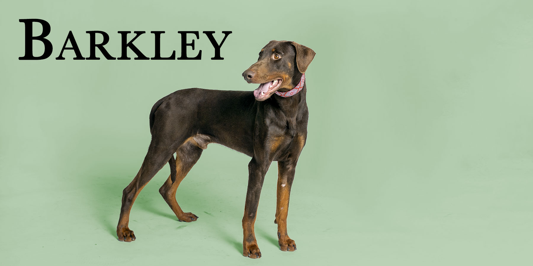 20220314_132239_EJ031352_049890b2_Barkley