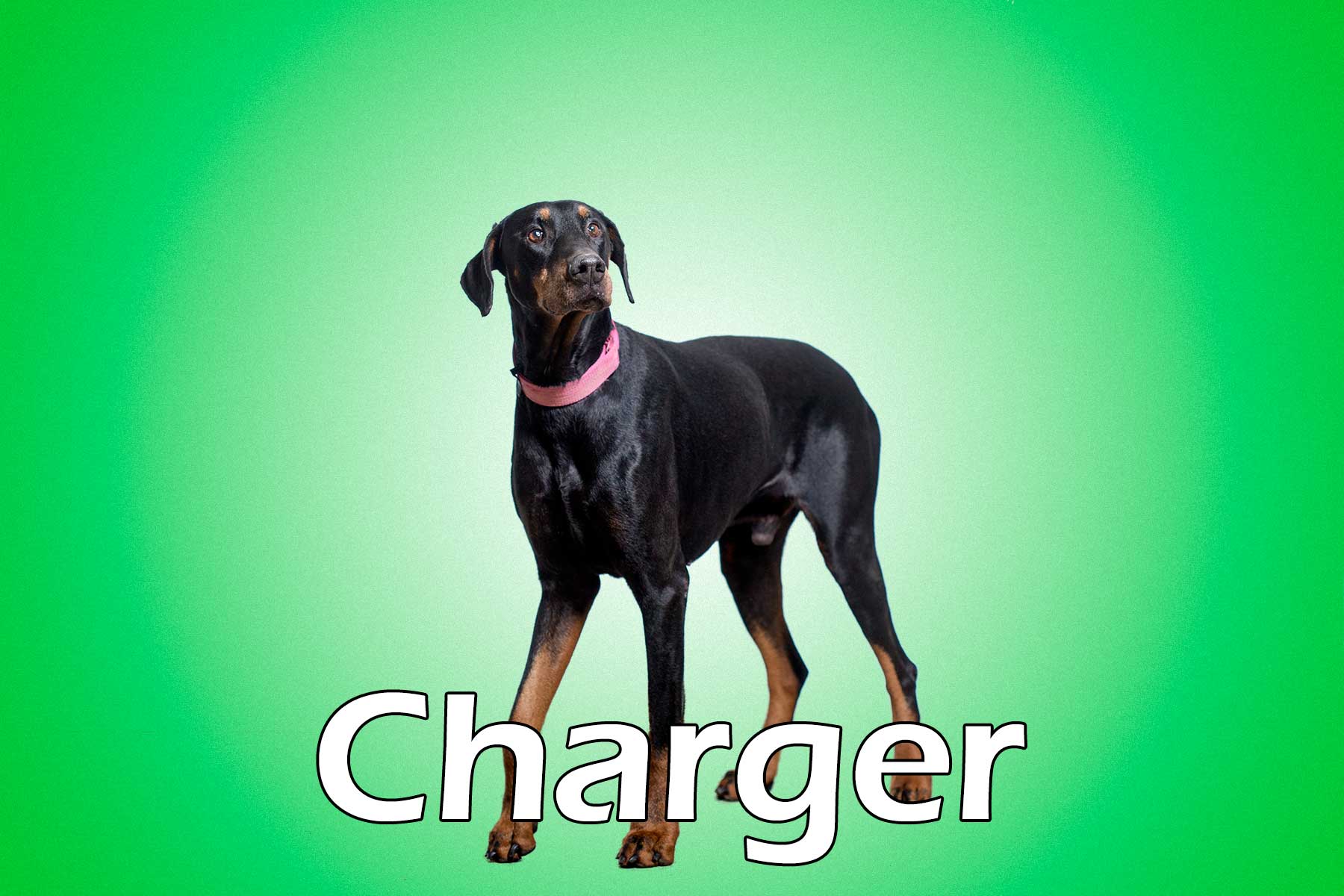 Charger_20160121_144042_052011001770_58580b2_Charger