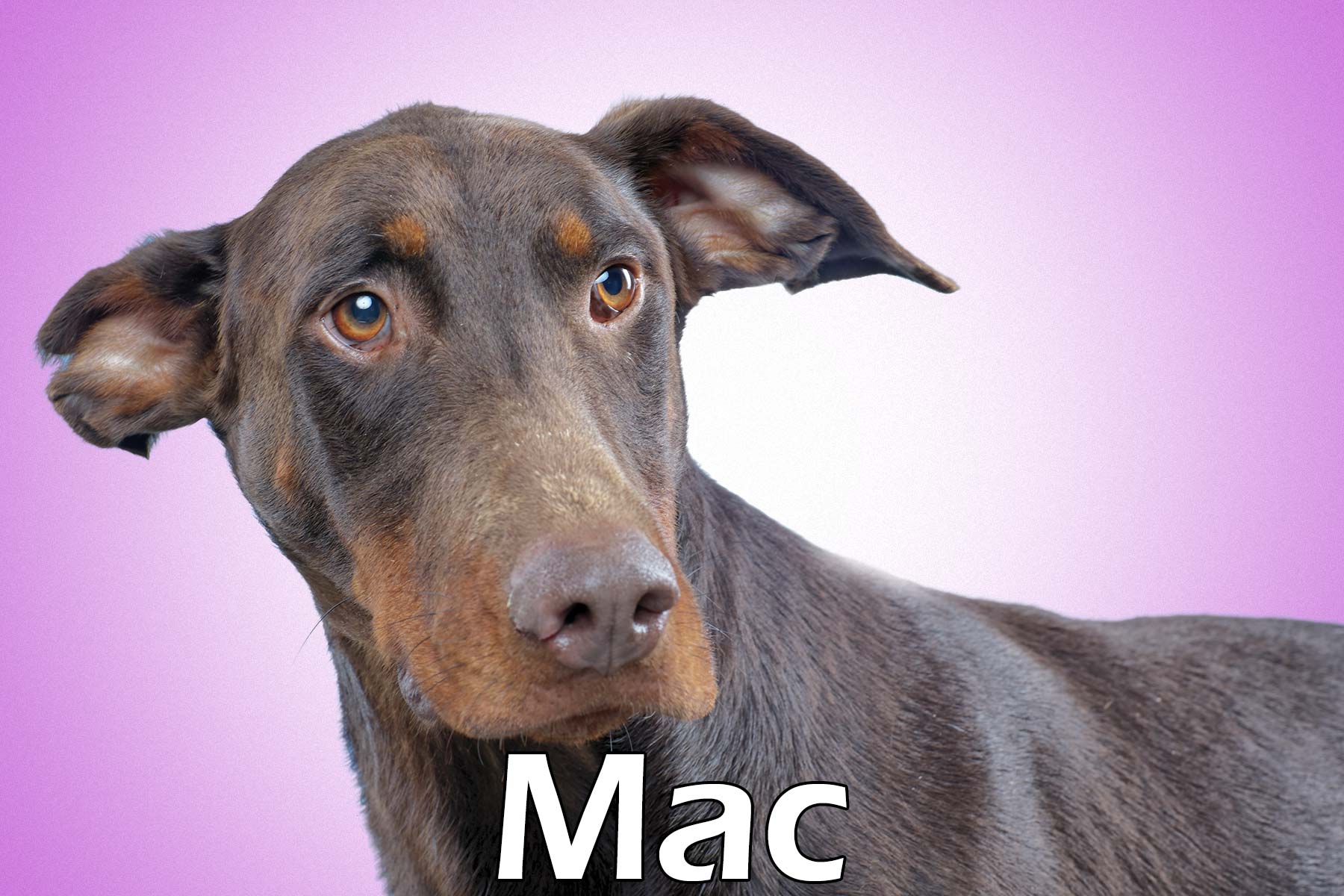 Mac_20140924_083314_052011001770_43545b5_Mac