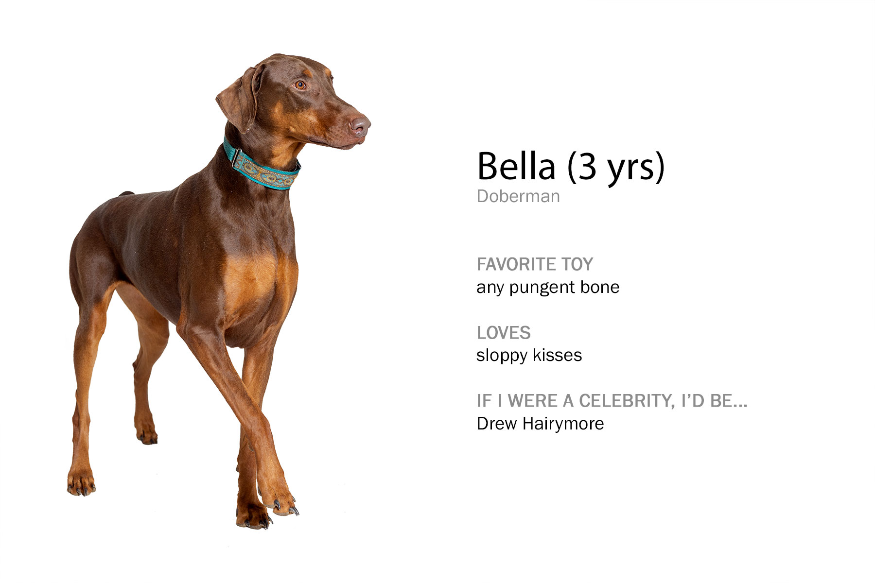 bella_x