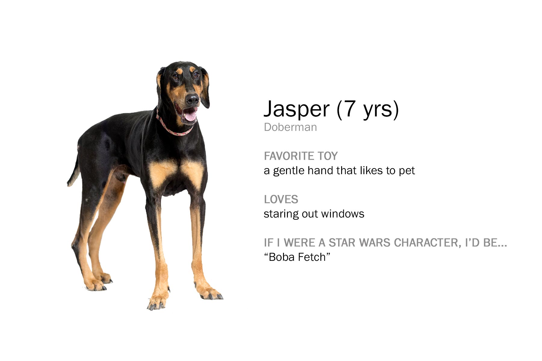 jasper_x