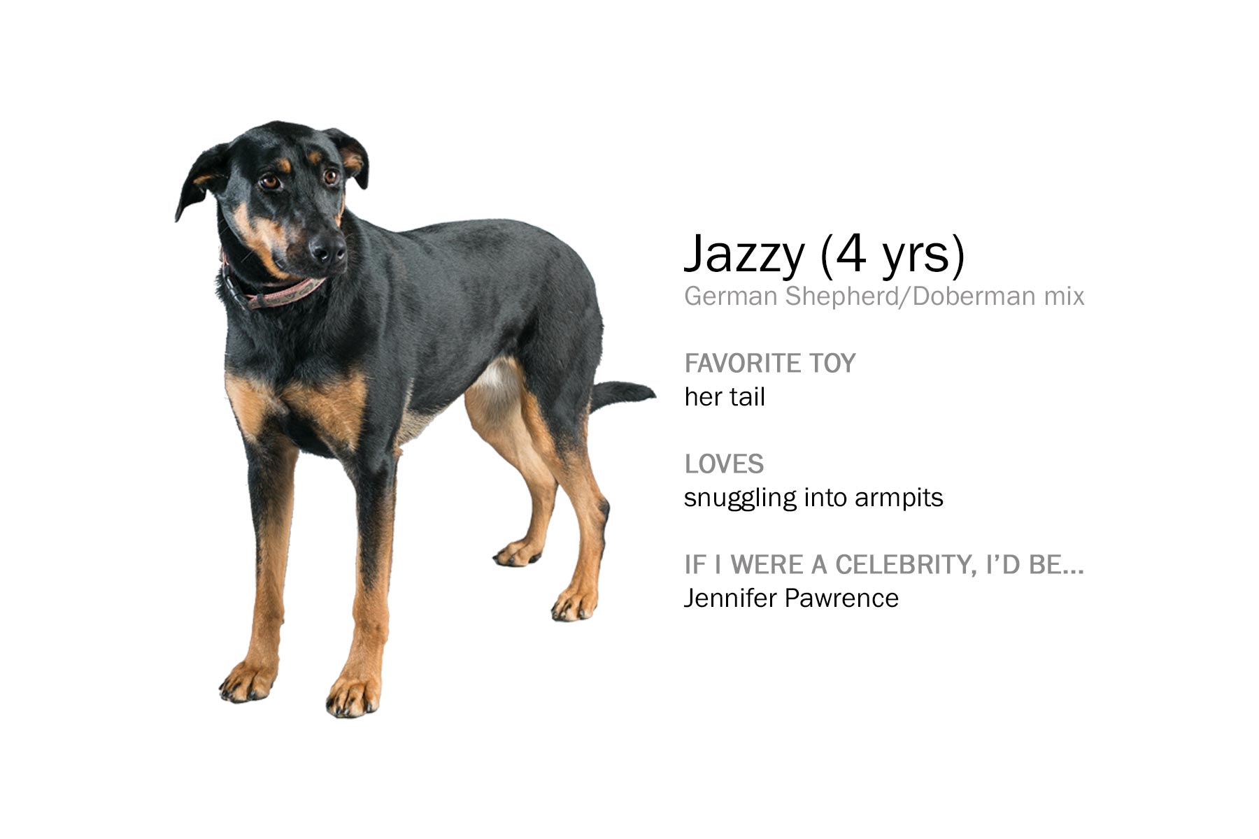 jazzy_x